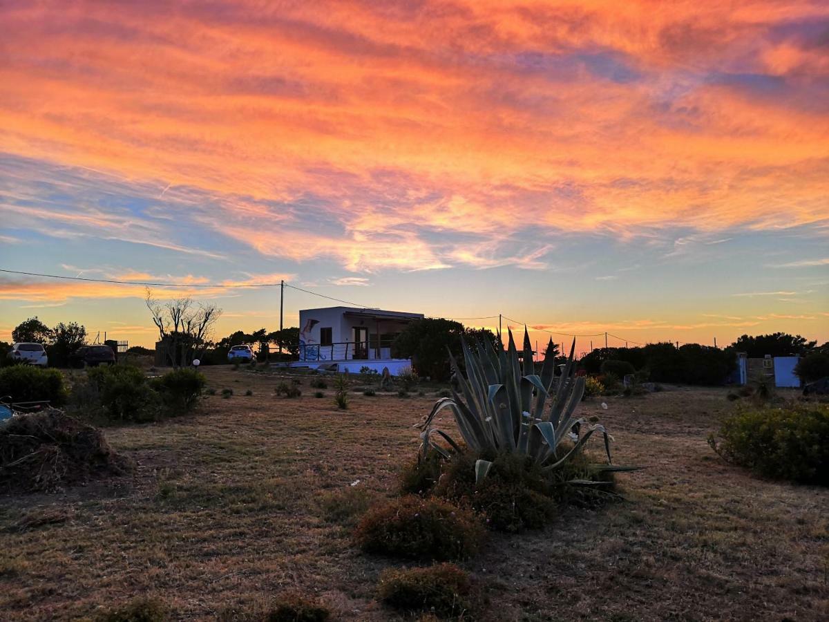 Eco Affittacamere Casa Maica Eco Guesthouse Stintino Exteriér fotografie